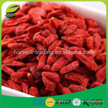 Aliments Qingdao Goji Berry séché pour 2016 Vente chaude